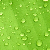 Smart Agriculture in Deep Space