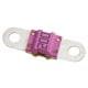 Littelfuse 153.5631.5501