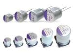Panasonic Electronic Components Polymer Capacitors