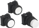 IPE Push Button Switches