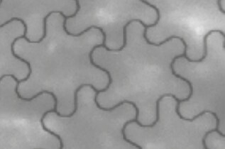 Infographic - Panasonic Industrial Devices EMA0600003B0 Transparent Conductive Film